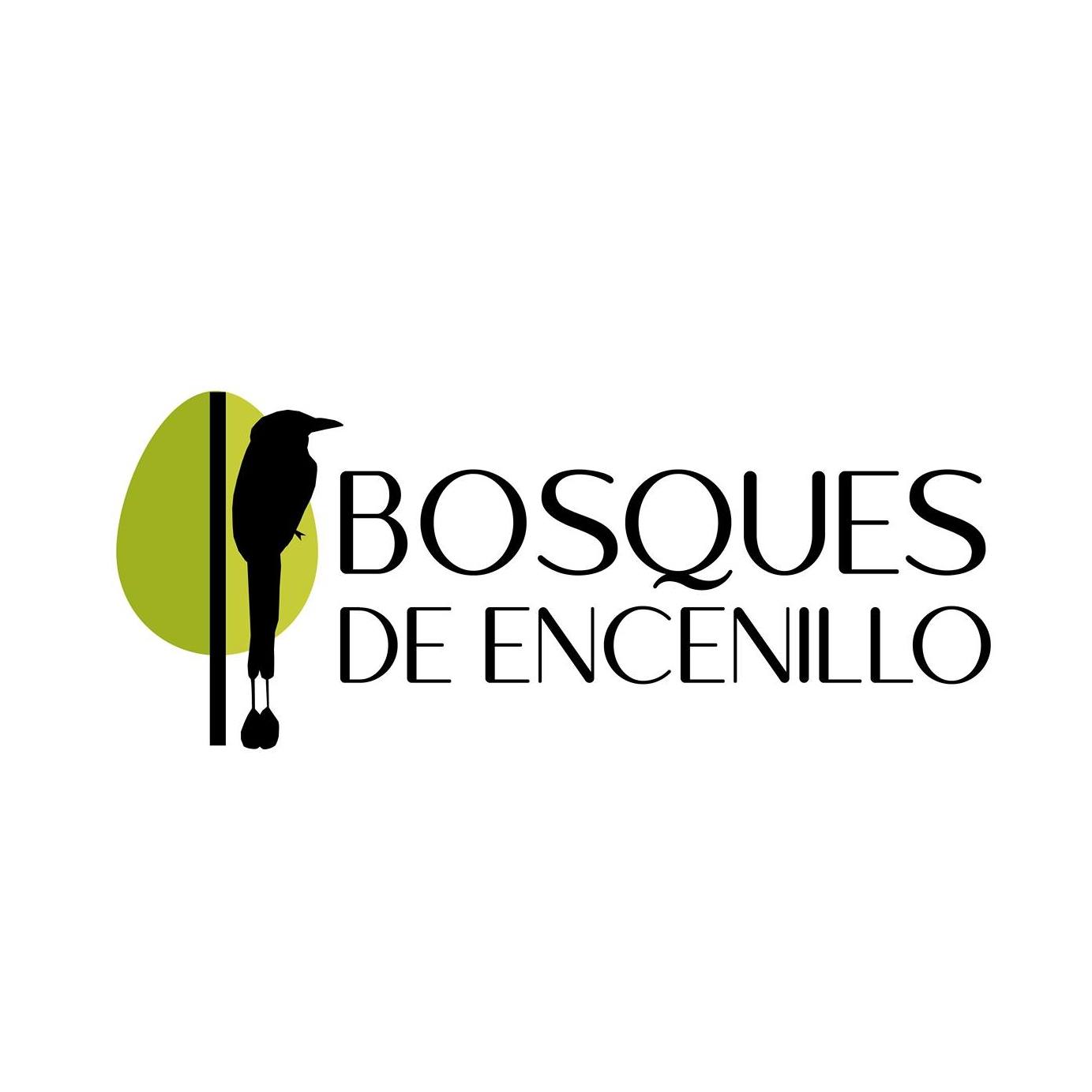 Bosques de Encenillo